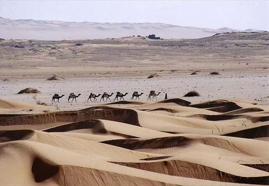 10个沙漠世界隐藏的神秘发现,图坦卡蒙的宝藏未解之谜