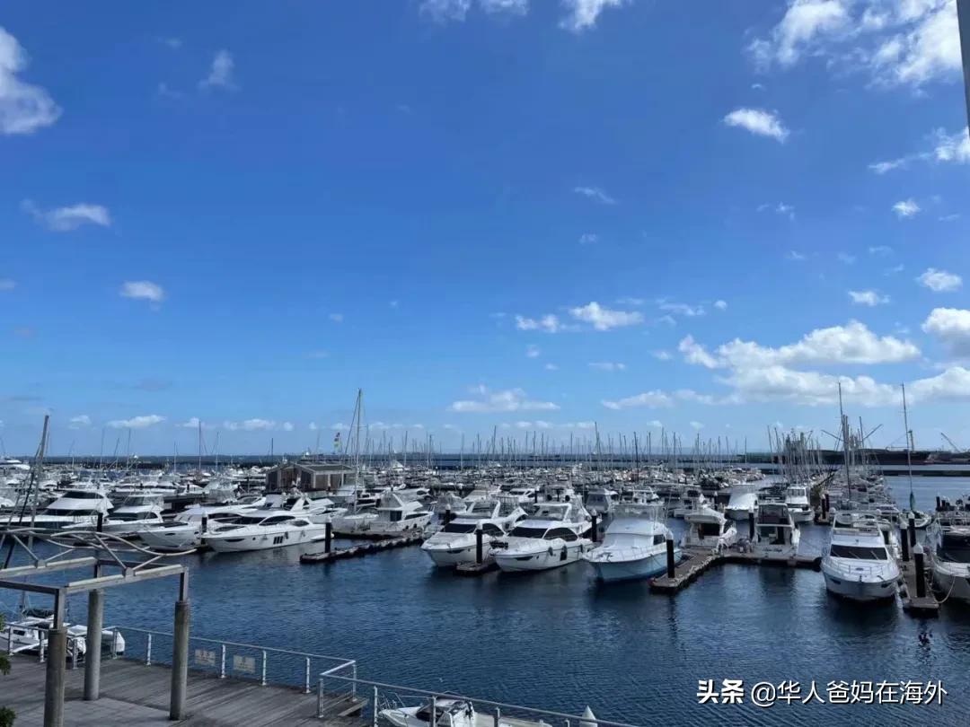 在日本上学的中国小孩会被欺负吗 (中国人在日本学校会被欺凌吗)