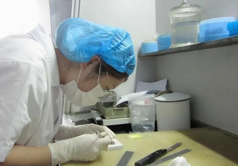 病理报告为什么不能打印,病理报告打开不了是怎么回事