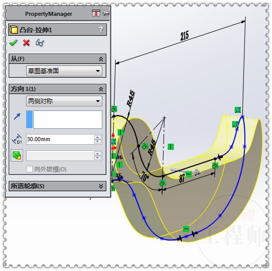 用sw画一束玫瑰花,用sw画龙