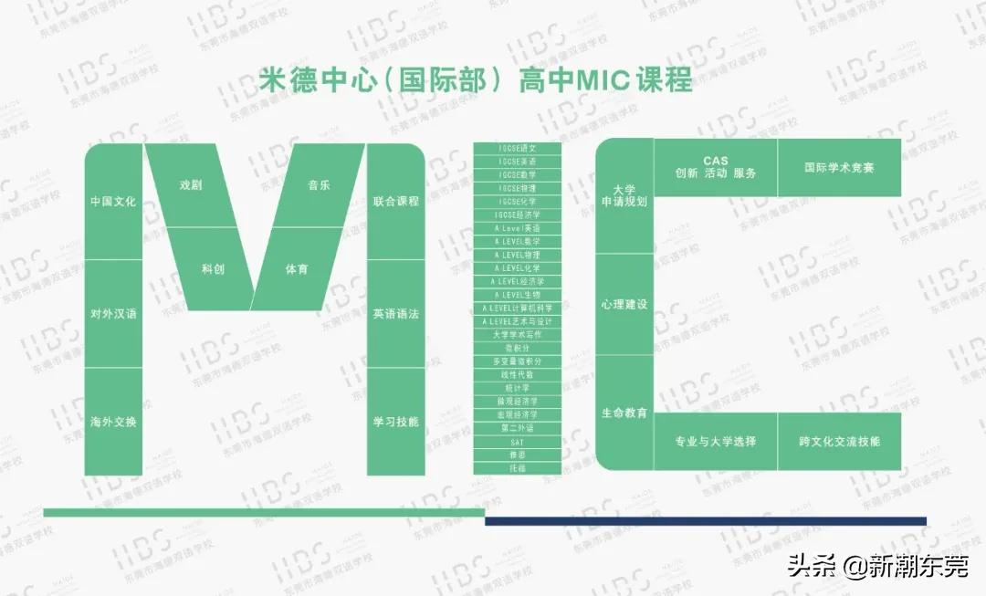 东莞外国语高中黑马,东莞黑马学校