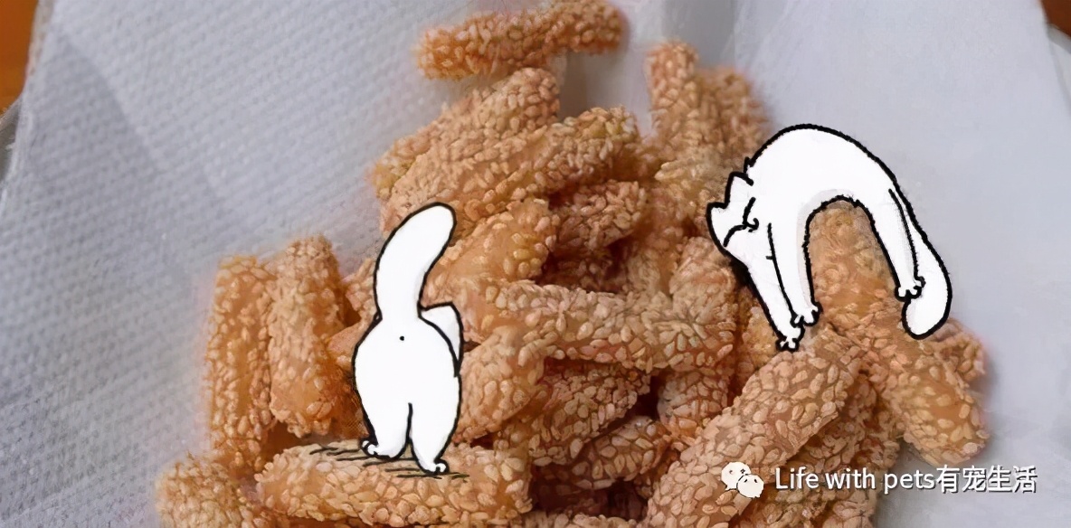 猫咪科普便便,猫屎软便是体内有寄生虫了吗