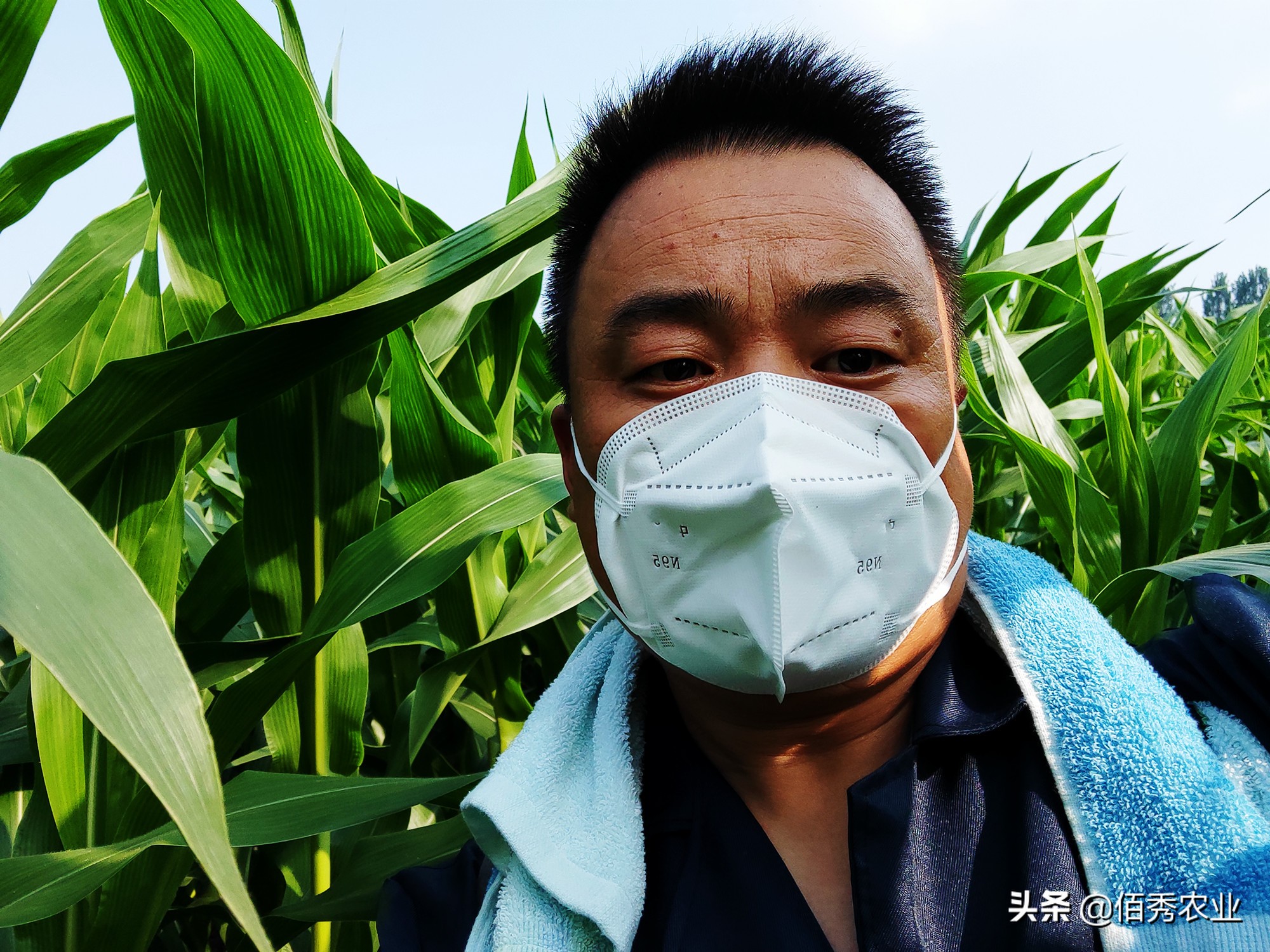 现在农村承包200亩地种玉米能行吗,承包土地种玉米收入咋样