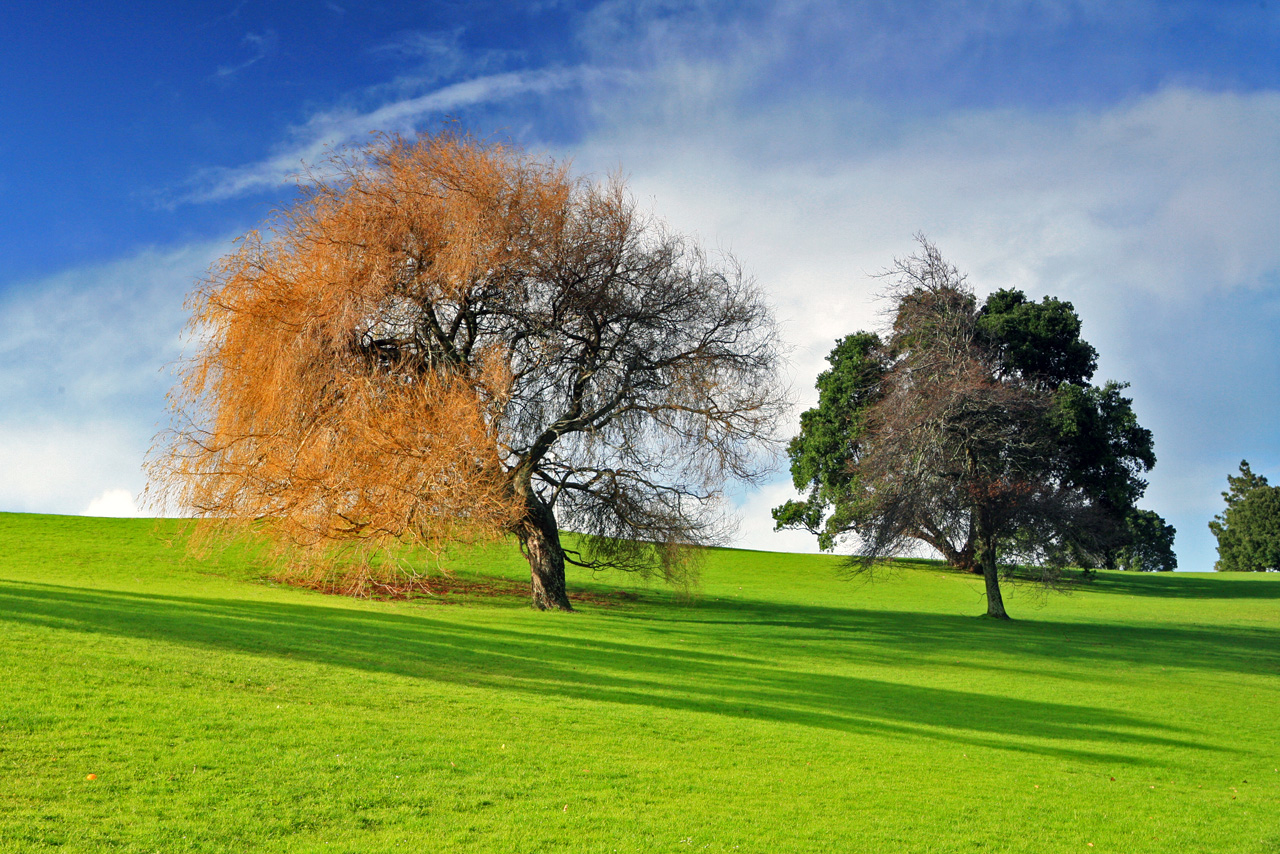 大洋洲的澳大利亚和新西兰,大洋洲新西兰美丽的大城市