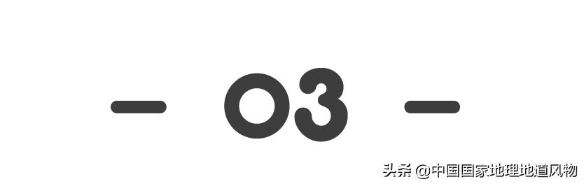 东北振兴大连地位突出,东北龙头大连