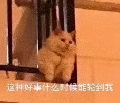 当数据分析师要学什么软件比较好,什么人适合做数据分析师