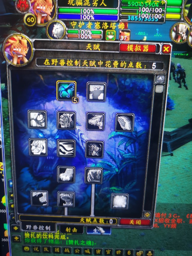 魔兽猎人plus猎人天赋,魔兽世界怀旧服p5猎人单刷