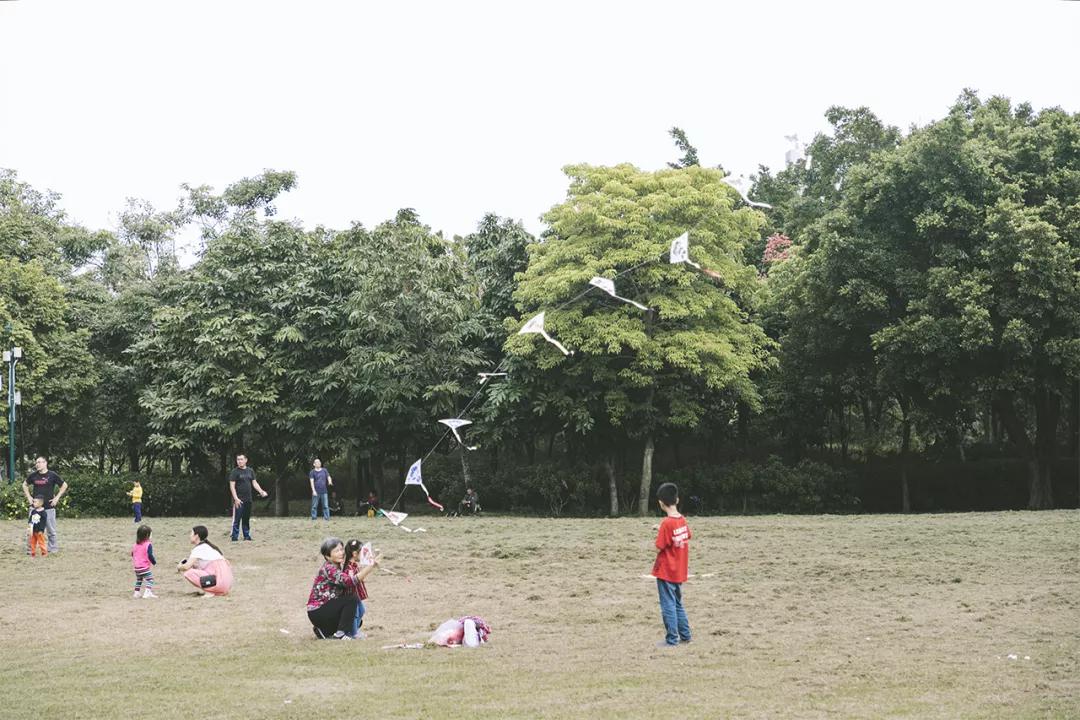 重庆轨道3号线,贵阳地铁3号线