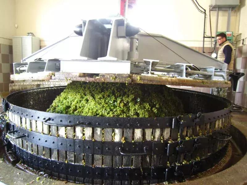 喝起泡酒真的好喝吗,喝起泡酒