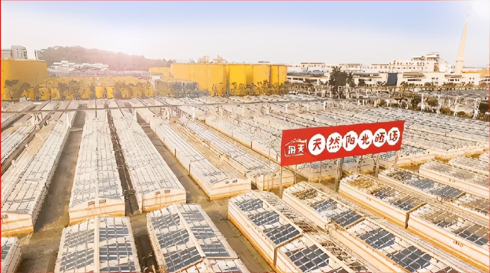 海天醋味极鲜蒸鱼豉油,海天味极鲜酱油是红烧还是凉拌的