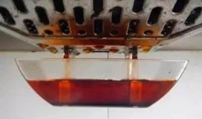 绿萝喝点什么水不黄叶,绿萝最爱喝的四种水