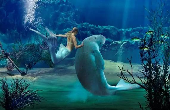 亲子游寒假去哪旅游最好,寒假孩子去哪旅游最好