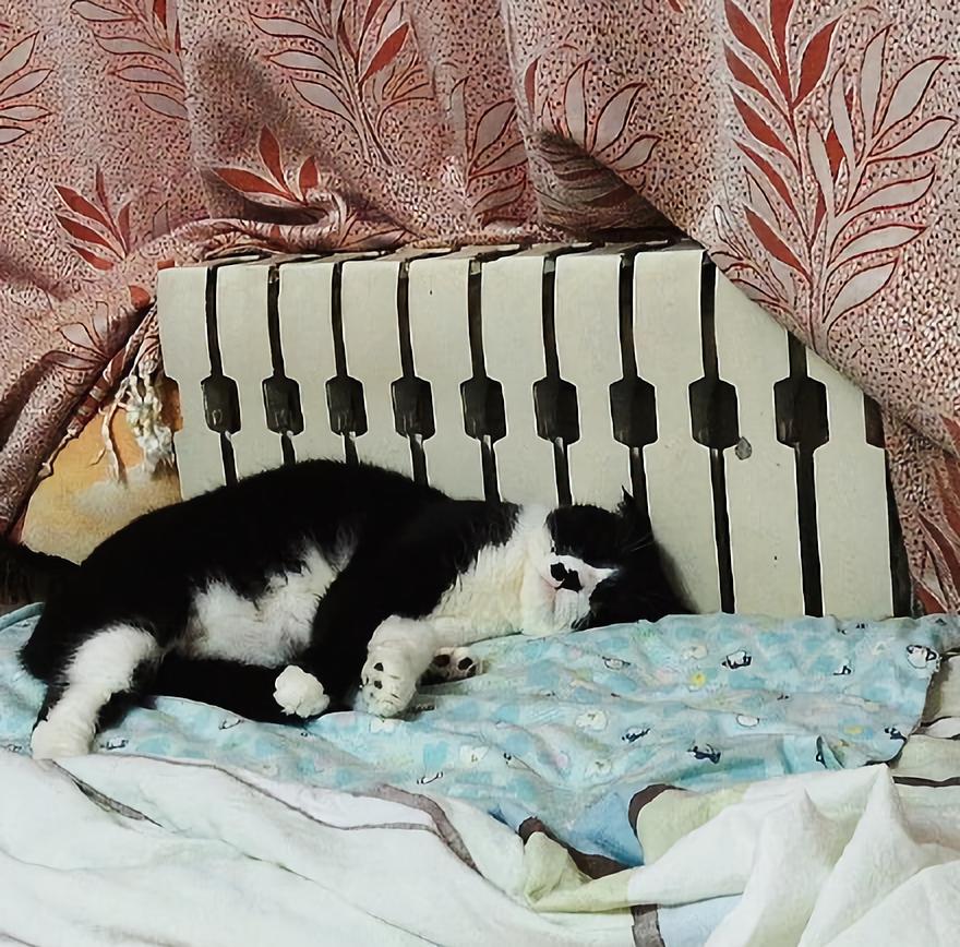 一入冬，我的命就是暖气给的