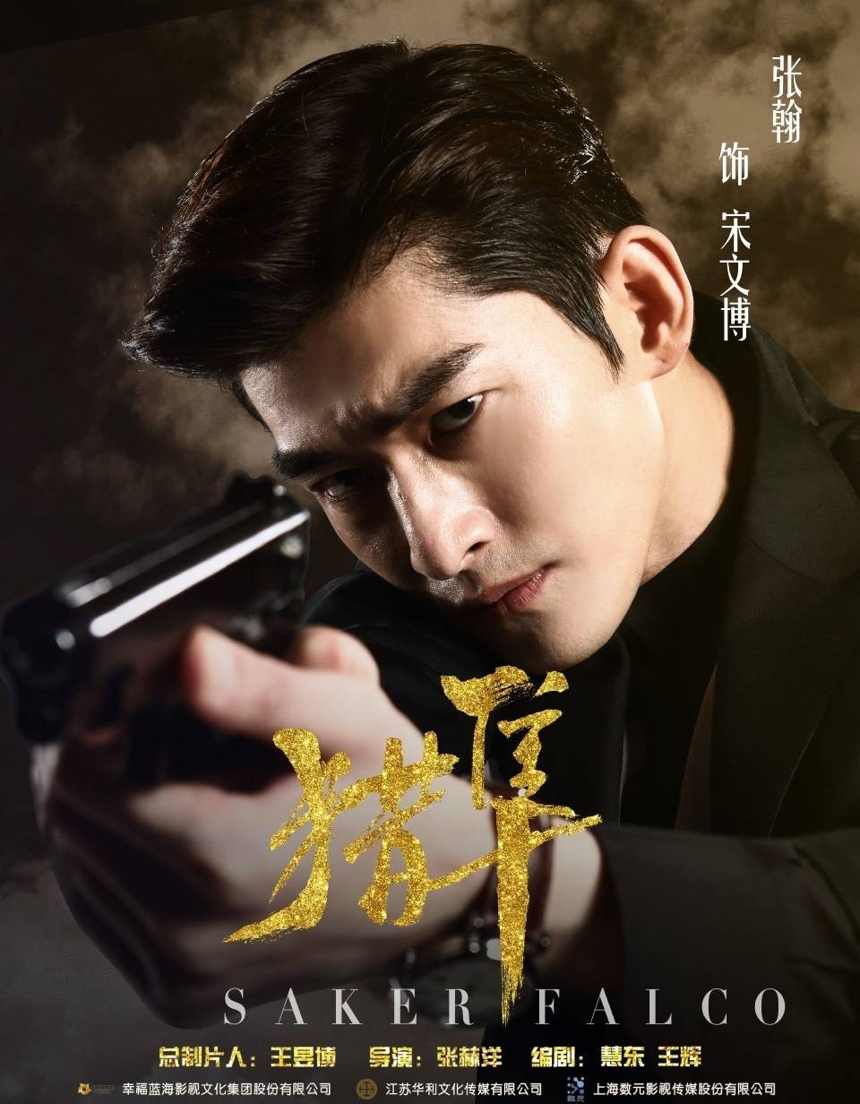 猎隼电视剧什么时候上映,猎隼谍战剧28集