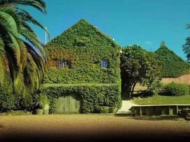 看了新西兰的这些酒庄和美食，让人蠢蠢欲动