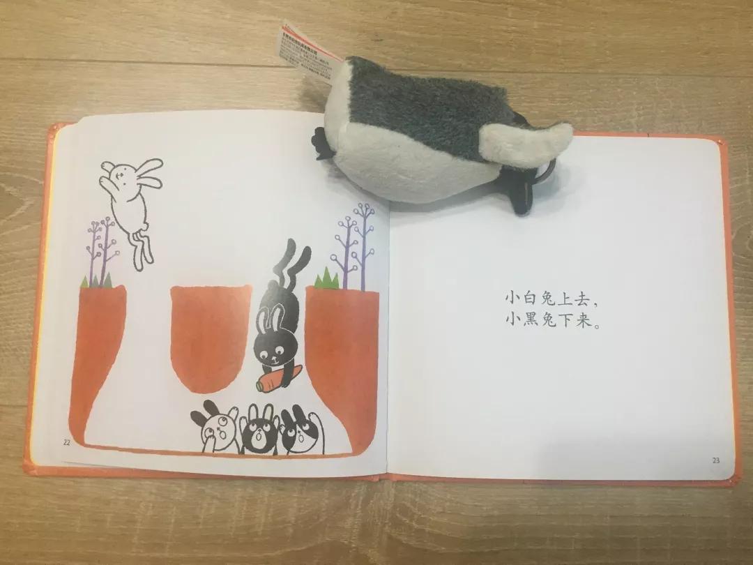 著名童书作家有哪些,国内优秀的童书作家