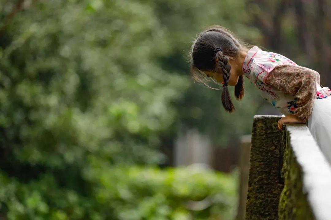 初学摄影需要买的基本器材 (新手入门摄影买什么相机)