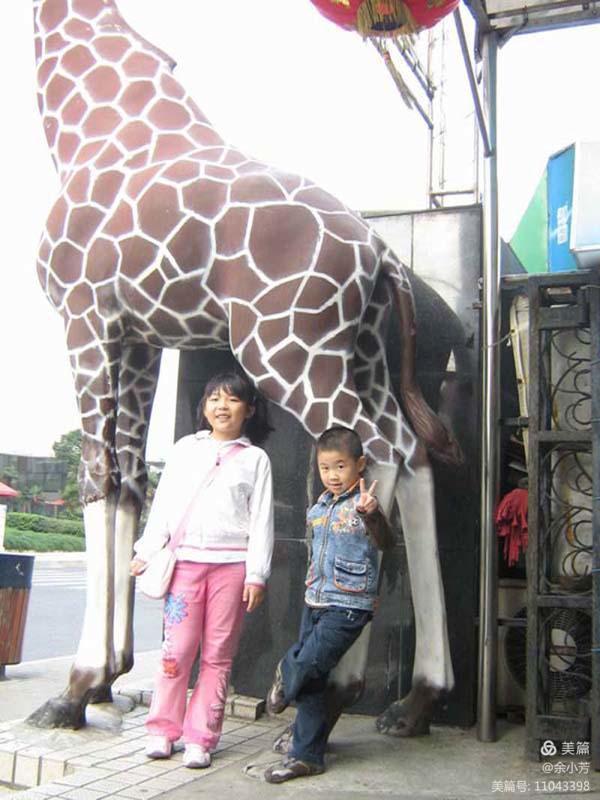 上海野生昆虫馆,上海昆虫馆门票多少