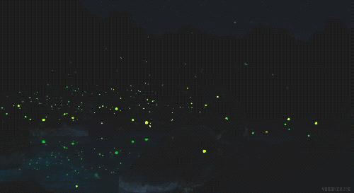 大暑酷热,大暑蝉鸣声