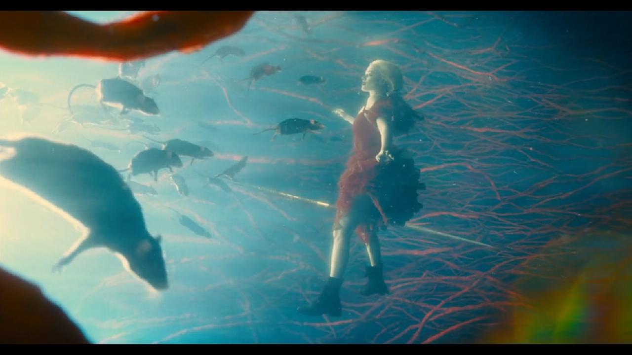 鲨鱼王恶战“派大星”!DC最爆爽的R级片出现了