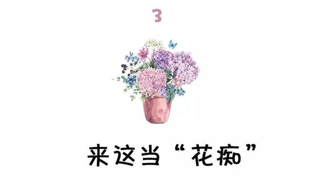 西安三桥附近哪里有花卉市场,西安北二环大明宫花卉市场地址