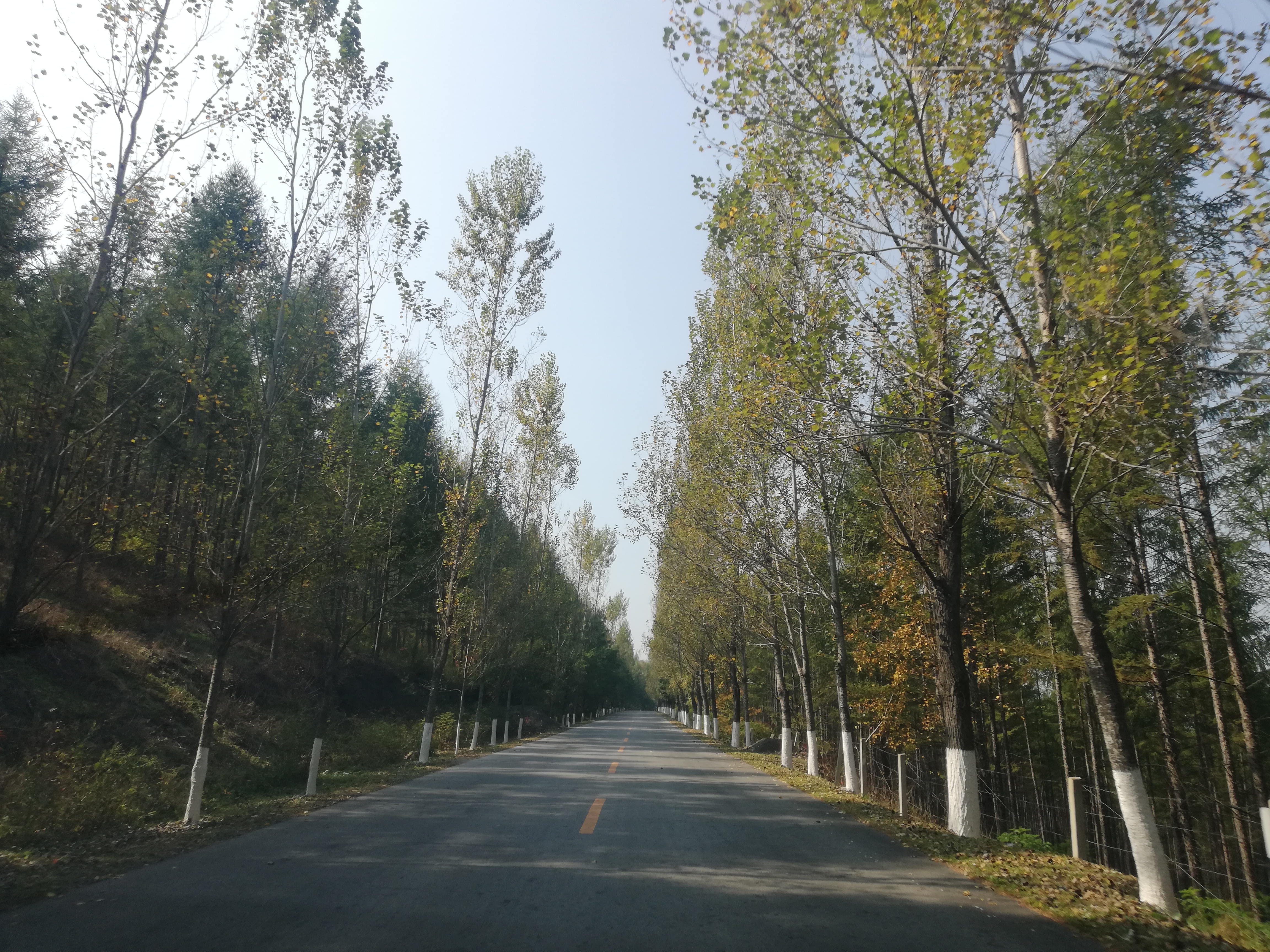 本溪桓仁旅游攻略自驾游,十一本溪桓仁枫叶自驾游攻略