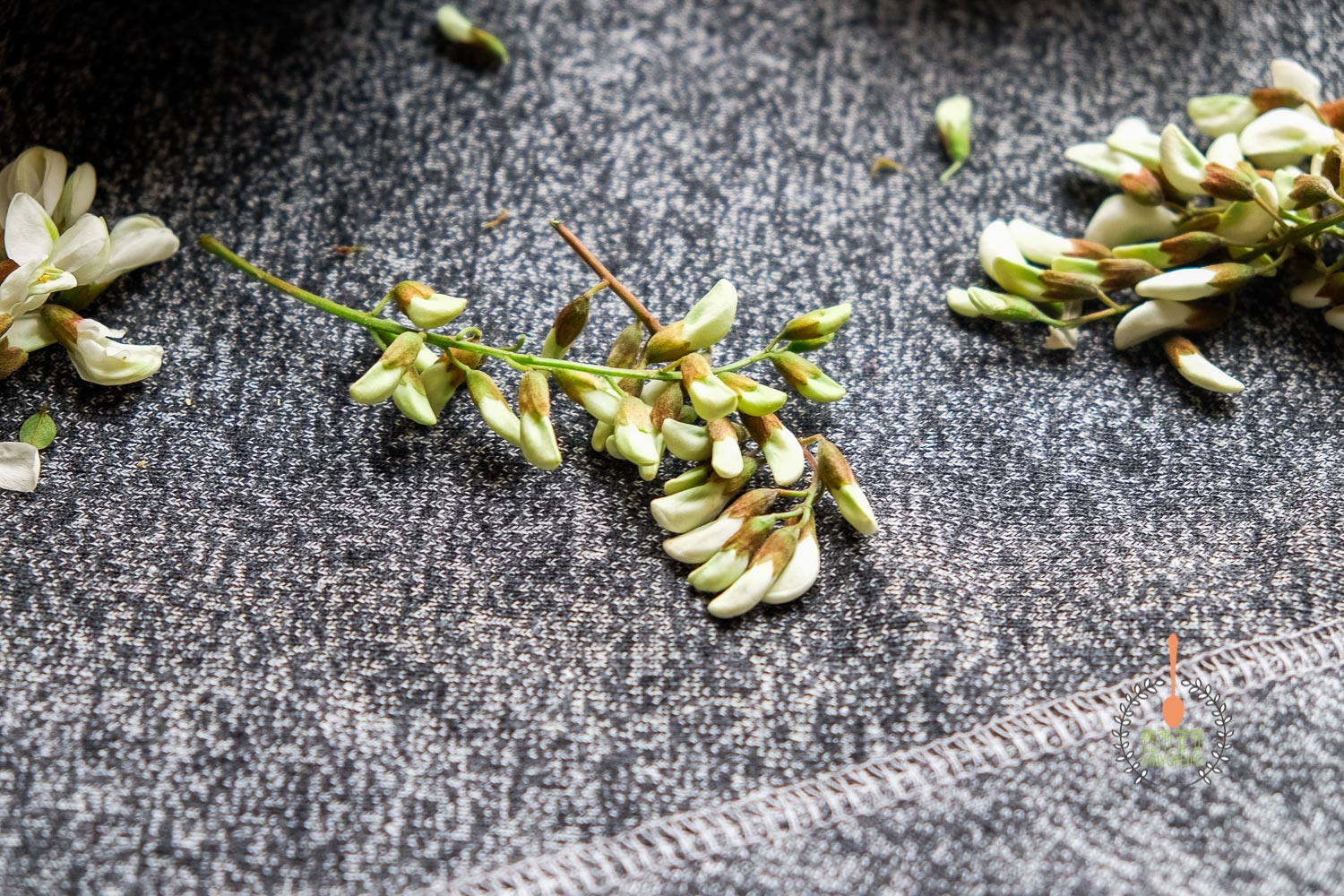 没有面粉又想吃蒸槐花的最佳吃法,蒸槐花不粘不坨有秘诀