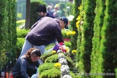 清明扫墓10条公交专线本周末开通,北京开通10条扫墓专线