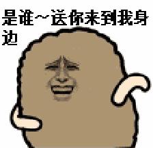 新生必看|最强导师精品课程合辑