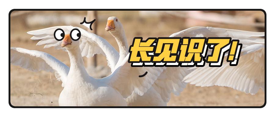 居民收入和国民收入的区别,国民收入和个人收入的区别经济学