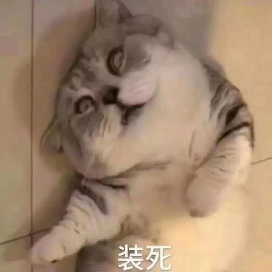 闲鱼怎么让闲置的衣服快速卖,怎样在闲鱼平台卖闲置衣服包包