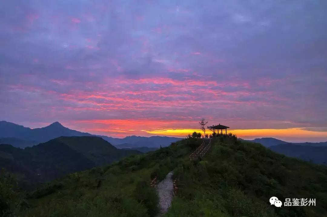 五朵金花组团出战,五朵金花齐聚的时候