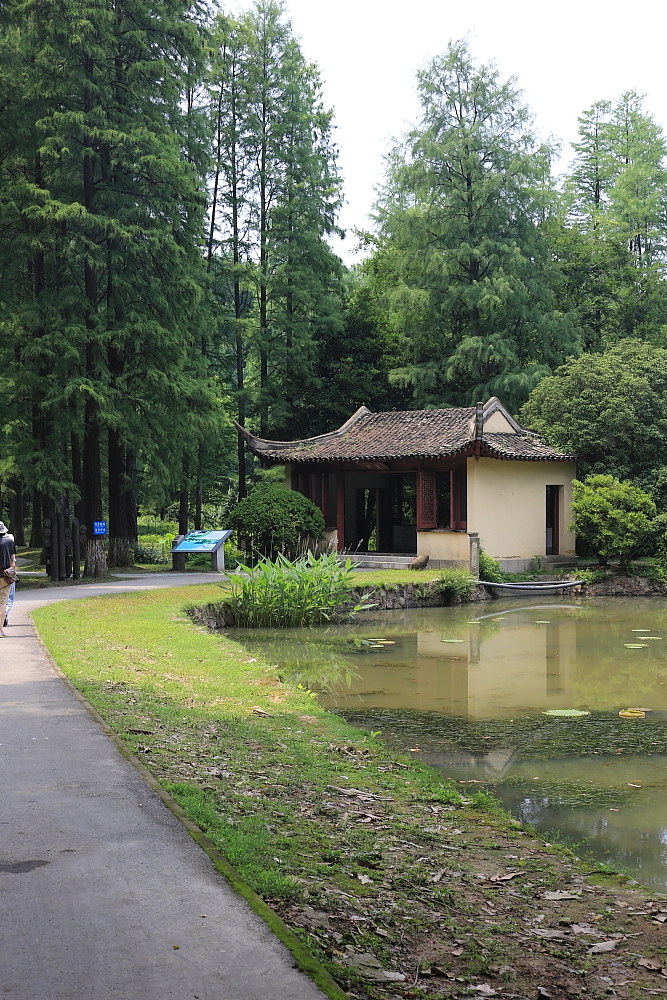 植物园的景；青山吹奏《红河谷》（F调）半音阶口琴演奏第二版