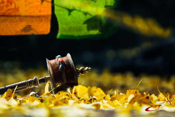 40句富有人生哲理的诗句,五年级上学期有关读书哲理的诗词