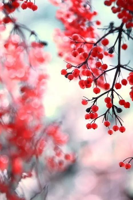 杜甫与李龟年：Seeyouagain，与你重逢在江南