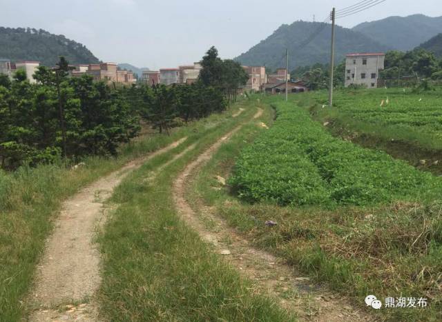 肇庆的历史文化遗产,探寻肇庆历史文化名胜