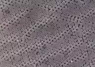 欧泊是矿物吗,欧泊是什么矿物