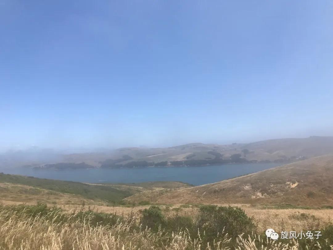 加州沿海1号公路自驾游散装系列（一）：阳光北加的金山依旧