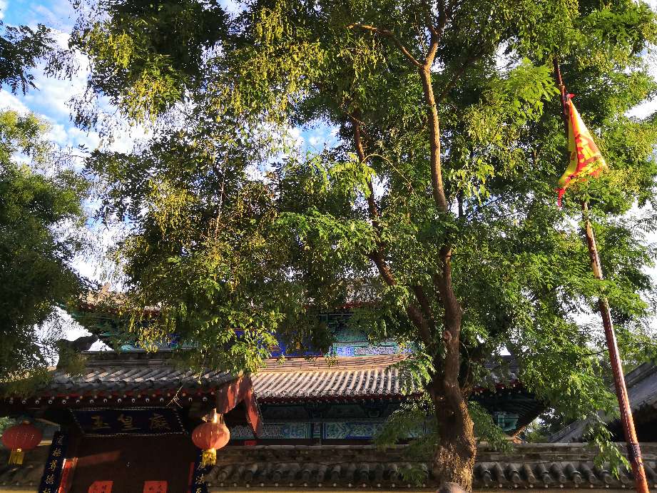 搁浅记忆原创,搁浅记忆英文