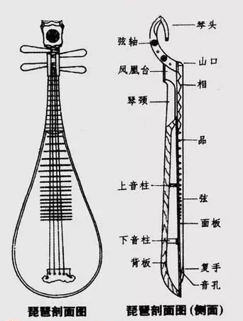 琵琶构造图文详解大全,南音琵琶构造图