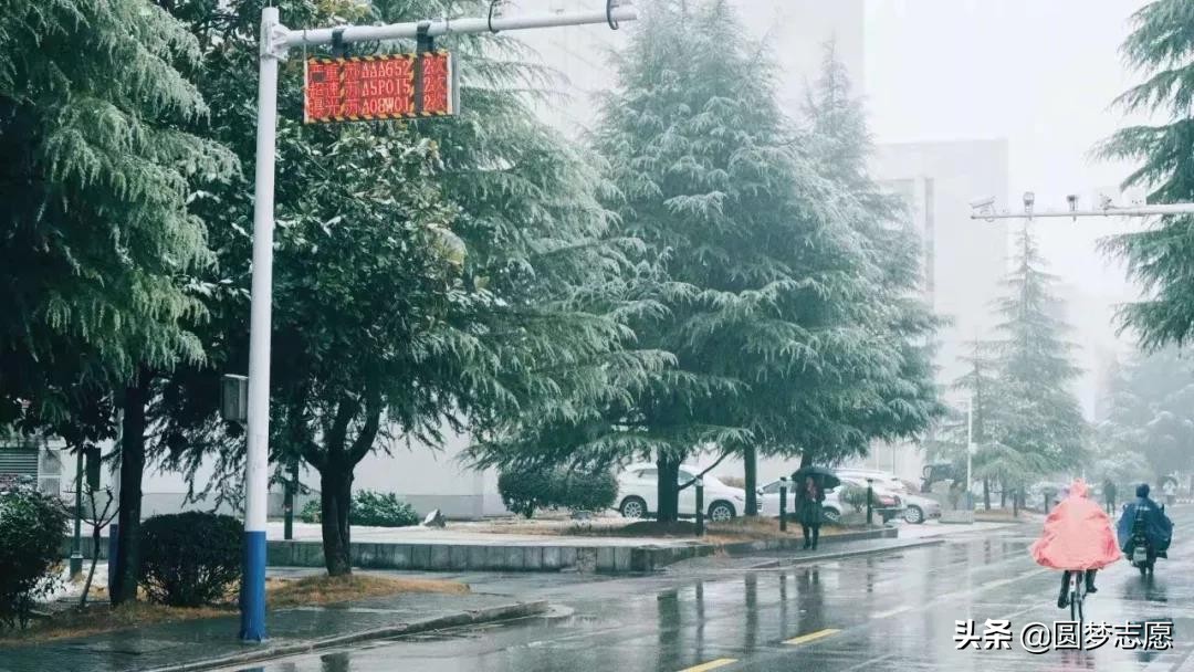 最值得收藏的8所学院,10所顶级211