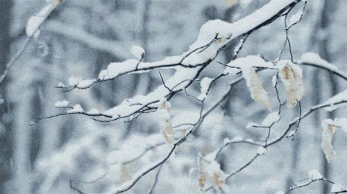 铜仁天气冷适合哪里玩,冬天铜仁旅游攻略