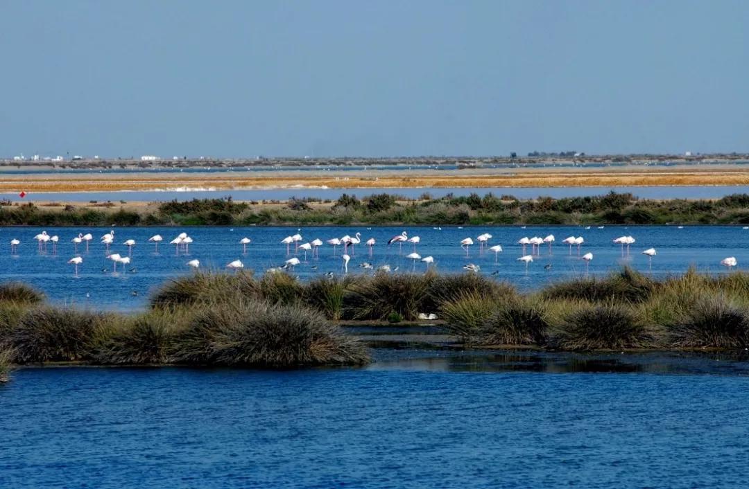 去西班牙感受,到西班牙的感受