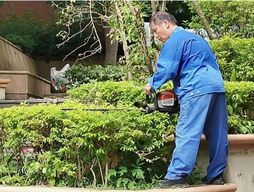 鍝佽川铚曞彉,鍝佽川铦跺彉