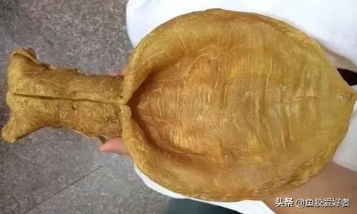 花胶涨发的正确方法,花胶的种类及区别