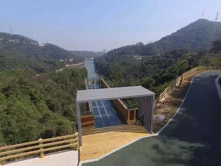 羊台山风景视频大全,深圳羊台山哪里风景最好