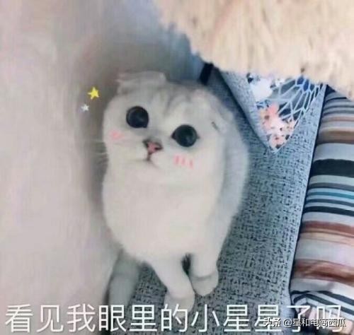 拼多多直通车关键词多少为最佳,拼多多直通车推行优化技巧及实操