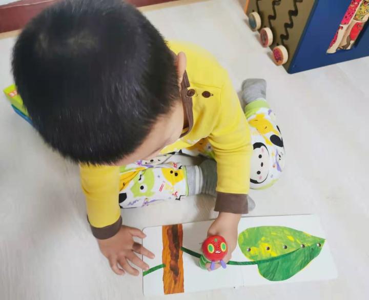 毛毛虫点读笔3代使用感受,入门毛毛虫点读笔怎么选套餐