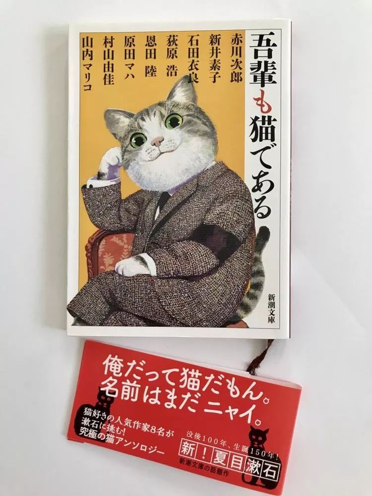 日本人喜欢猫还是狗 (日本人为什么不喜欢金银眼猫)