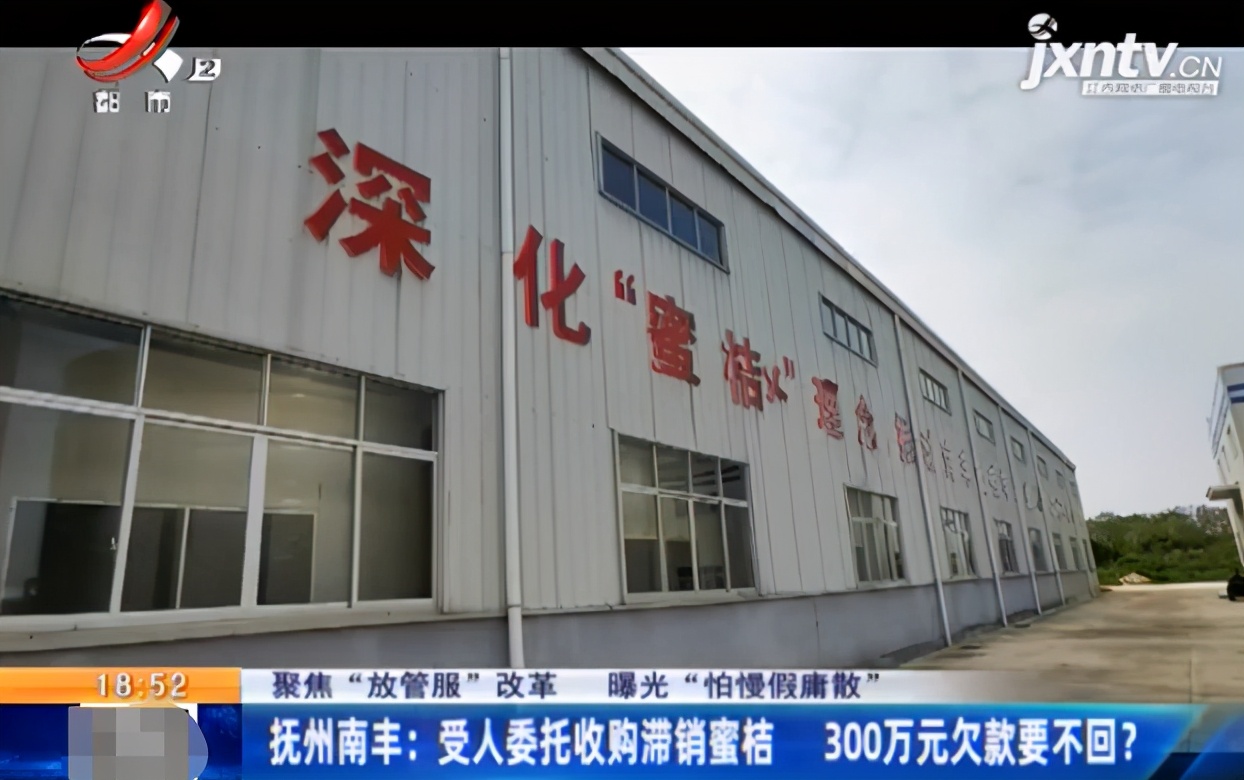 南丰县蜜桔收购,南丰蜜桔大量收购